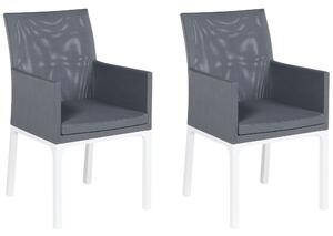 Sada dvou šedých židlí BACOLI