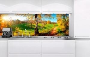 DIMEX | Fototapeta do kuchyně Louka KI-180-083 | 180 x 60 cm | zelená, modrá, červená, žlutá