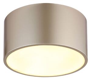 Globo RAYMOND LED stropní svítidlo, 900 lm, 12 W