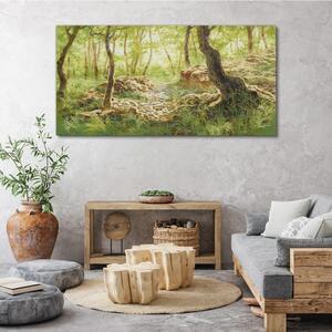 Obraz na plátně Obraz na plátně Lesní skalní příroda
