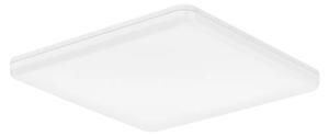Eglo EXPERT CASTAGNETO LED stropní svítidlo, 2500 lm, 20 W