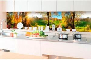 DIMEX | Fototapeta do kuchyně Louka KI-350-083 | 350 x 60 cm | zelená, modrá, červená, žlutá