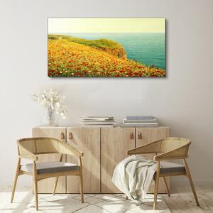 Obraz na plátně Obraz na plátně Květiny pobřeží útesu moře