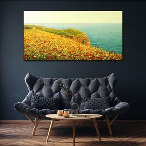 Obraz na plátně Obraz na plátně Květiny pobřeží útesu moře