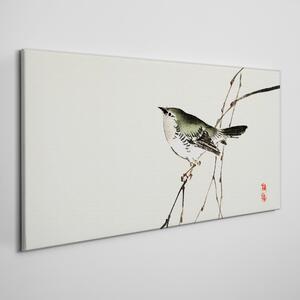 Obraz na plátně Obraz na plátně Pobočky živočišného ptáka