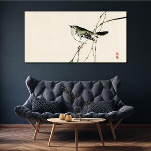 Obraz na plátně Obraz na plátně Pobočky živočišného ptáka