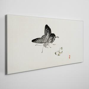 Obraz na plátně Obraz na plátně Moderní hmyz motýl