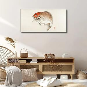 Obraz na plátně Obraz na plátně Moderní zvířata ryb