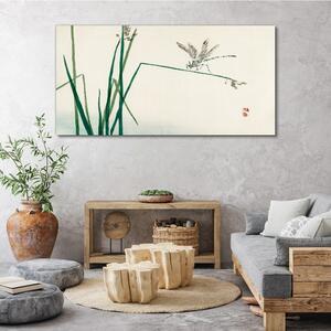 Obraz na plátně Obraz na plátně Hmyz větve