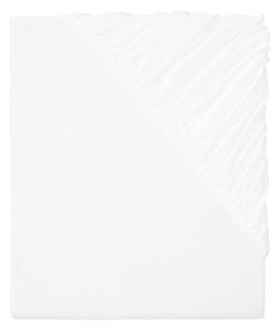 Livarno home Žerzejové napínací prostěradlo Modal, 140-160 x 200 cm (bílá) (100390069004)