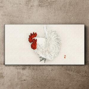 Obraz na plátně Obraz na plátně Zvířecí pták kuře