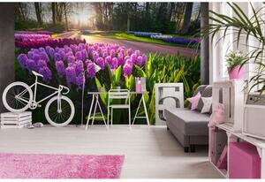 DIMEX | Vliesové fototapety na zeď Květy hyacintu MS-5-0068 | 375 x 250 cm| fialová, zelená, vícebarevná