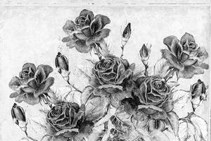 Tapeta černobílá vintage kytice růží