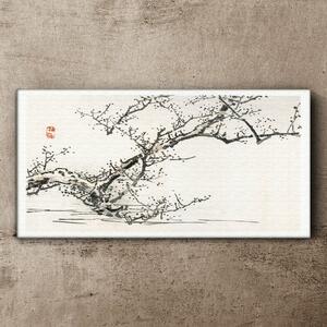 Obraz na plátně Obraz na plátně Asijské větve stromů