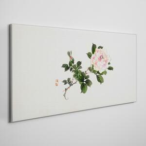 Obraz na plátně Obraz na plátně Asijské květiny
