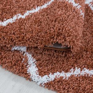Vopi | Kusový koberec Alvor shaggy 3401 terra - 80 x 150 cm