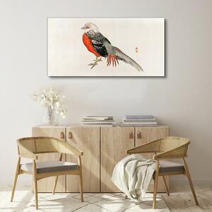 Obraz na plátně Obraz na plátně Moderní zvířecí pták