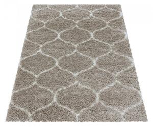 Vopi | Kusový koberec Salsa shaggy 3201 beige - 60 x 110 cm