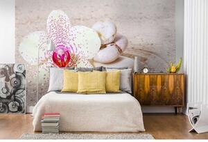 DIMEX | Vliesové fototapety na zeď Relaxační písek MS-5-0119 | 375 x 250 cm| krémová, růžová, béžová