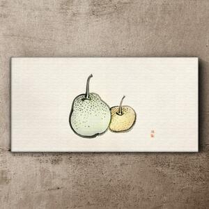 Obraz na plátně Obraz na plátně Abstrakce ovoce hruška