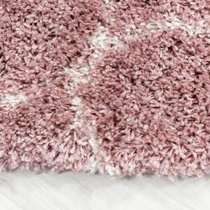 Vopi | Kusový koberec Salsa shaggy 3201 rose - 120 x 170 cm
