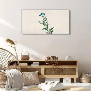 Obraz na plátně Obraz na plátně Asijské květiny rostliny