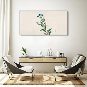 Obraz na plátně Obraz na plátně Asijské květiny rostliny