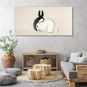 Obraz na plátně Obraz na plátně Králičí králík