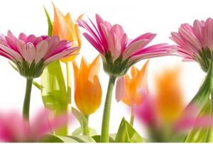 DIMEX | Vliesové fototapety na zeď Jarní květiny MS-5-0142 | 375 x 250 cm| bílá, růžová, žlutá, zelená