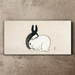 Obraz na plátně Obraz na plátně Králičí králík