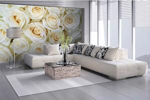 DIMEX | Vliesové fototapety na zeď Bílé růže MS-5-0137 | 375 x 250 cm| bílá, krémová