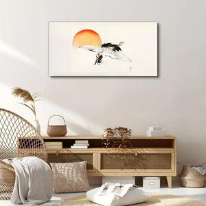 Obraz na plátně Obraz na plátně Zvířecí pták slunce