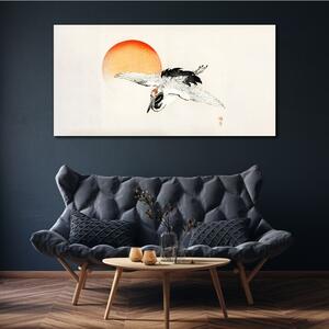 Obraz na plátně Obraz na plátně Zvířecí pták slunce
