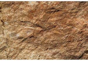 DIMEX | Vliesové fototapety na zeď Mramor MS-5-0177 | 375 x 250 cm| hnědá