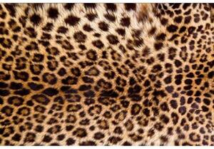 Fototapeta - Leopardí kůže 375x250 + zdarma lepidlo