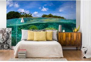 DIMEX | Vliesové fototapety na zeď Korálový útes MS-5-0200 | 375 x 250 cm| modrá, tyrkysová, zelená