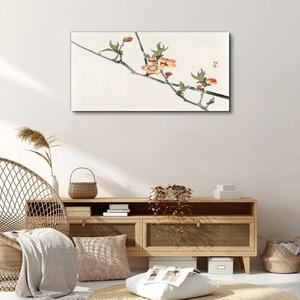 Obraz na plátně Obraz na plátně Větve přírodních květin