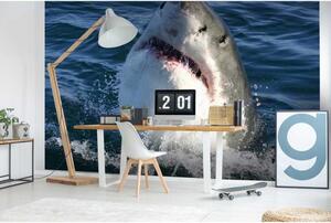 DIMEX | Vliesové fototapety na zeď Žralok MS-5-0217 | 375 x 250 cm| šedá, modrá
