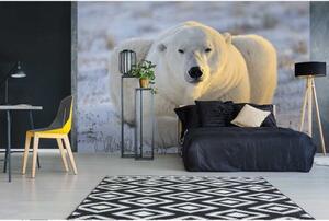 DIMEX | Vliesové fototapety na zeď Lední medvěd MS-5-0220 | 375 x 250 cm| šedá, bílá