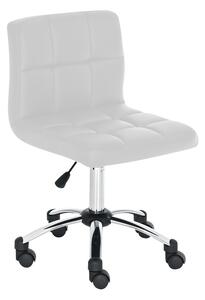 Pracovní židle DS1210302 Barva Bílá