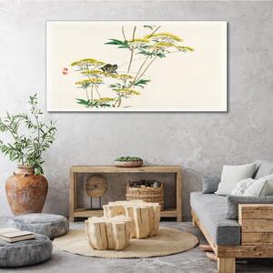 Obraz na plátně Obraz na plátně Větve květin