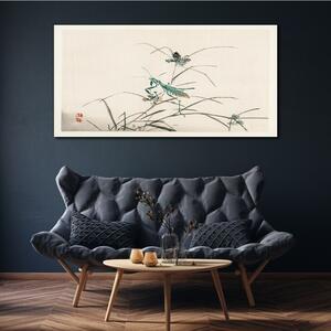 Obraz na plátně Obraz na plátně Asijské hmyz větve