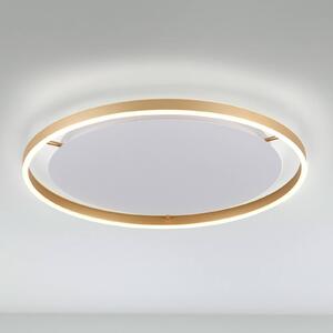 LED stropní svítidlo Ritus, Ø 58,5 cm, matná mosaz