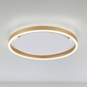 JUST LIGHT. GmbH LED stropní svítidlo Ritus, Ø 39,3 cm, matná mosaz, stmívatelný, Bronz / starožitná mosaz, Obývací pokoj / jídelna, Hliník, Moderní