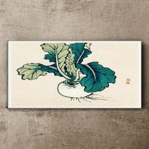 Obraz na plátně Obraz na plátně Zelenina cibule