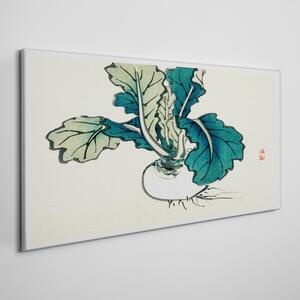 Obraz na plátně Obraz na plátně Zelenina cibule