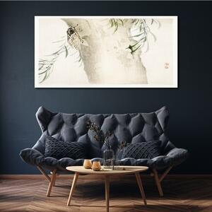 Obraz na plátně Obraz na plátně Strom větve hmyze listy
