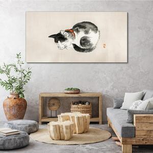 Obraz na plátně Obraz na plátně Zvířecí kočka