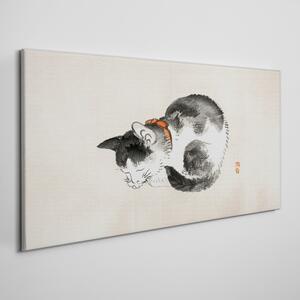 Obraz na plátně Obraz na plátně Zvířecí kočka