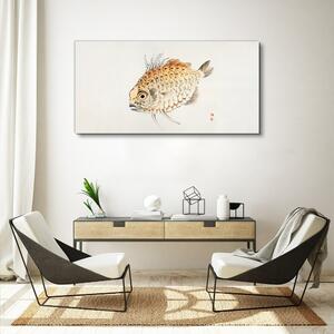Obraz na plátně Obraz na plátně Rybí zvířata